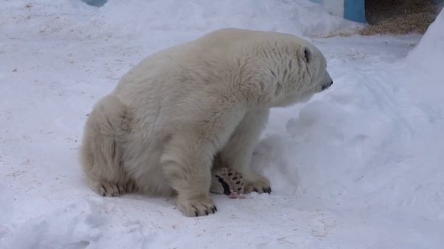 Герда. 02.01.2022 смотреть онлайн