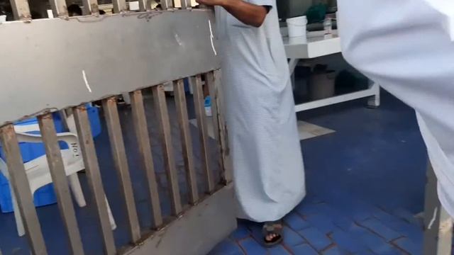 Fish Market In UAE Fujairah