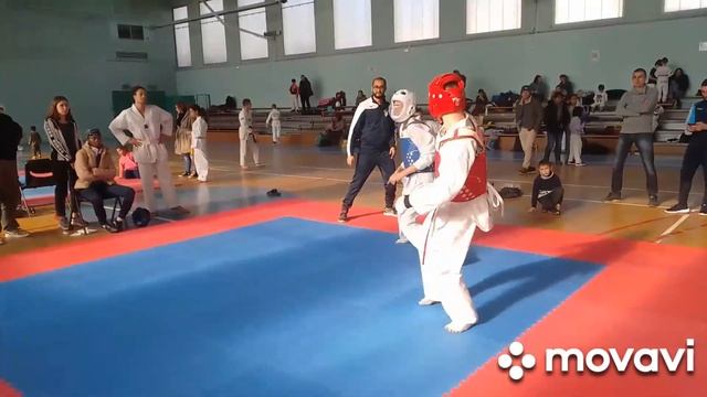 Тхеквондо. Соревнования смотреть онлайн