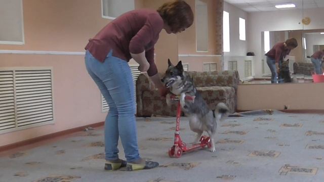 Ляля и самокат смотреть онлайн