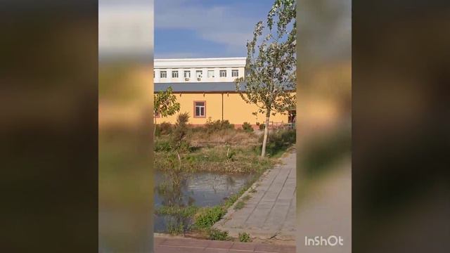 Нукус Нөкис қаласы 15 сентябрь биринши Спорт клуб смотреть онлайн