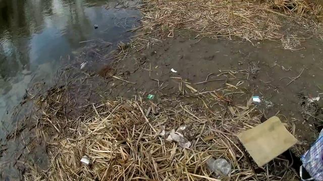 Внимание! На Суле начался клёв плотвы. Готовность №1 смотреть онлайн