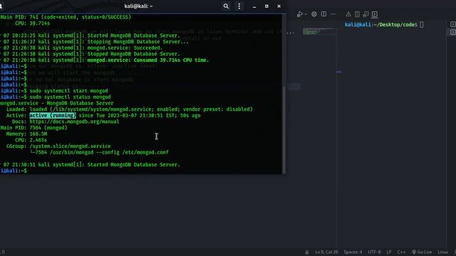 Start mongoDB in linux very simple step || The NOSQL database start by terminal || simple easy step смотреть онлайн