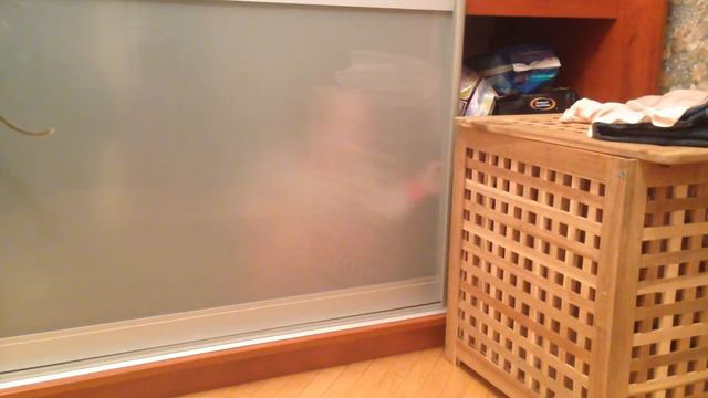 Сонюша прячется в шкафу смотреть онлайн