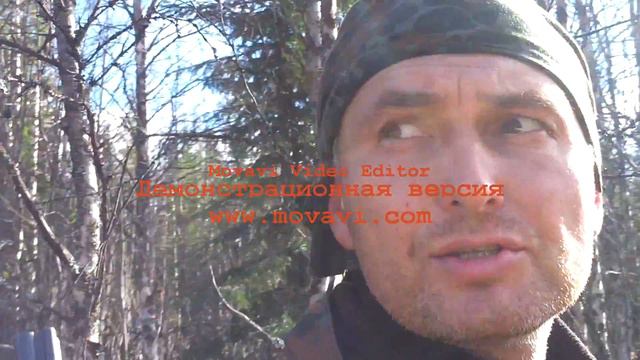 Охота 2013 смотреть онлайн