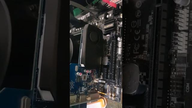 NVIDIA GeForce GTX 745 GTX745 4GB GDDR3 128 Bit T1 shopee international platform смотреть онлайн