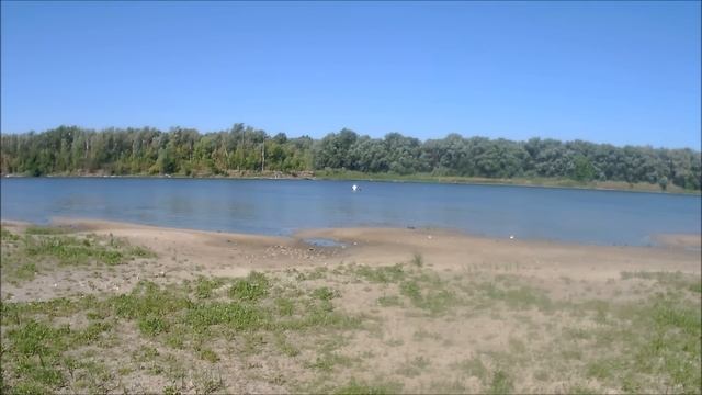 Чехонь, ловля чехони на резинку, спиннинг видео на Дону 2019 смотреть онлайн