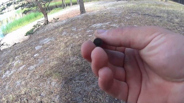 Поиск ЗОЛОТА на пляже(xp deus) смотреть онлайн