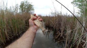 Приманки для мормышинга. Обзор силиконовых имитаций мотыля