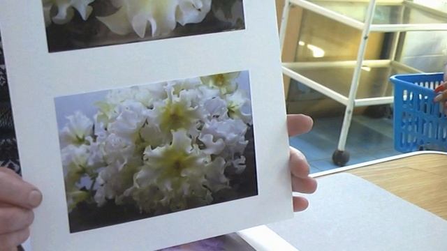 ДФ. Н.Скорнякова. Презентация сортов сенполий РМ- смотреть онлайн