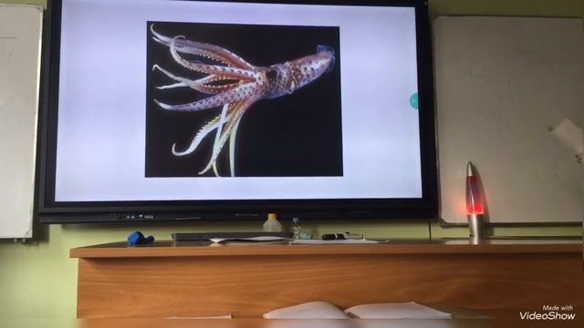 Реактивный двигатель, Теория и познавательные факты!! смотреть онлайн