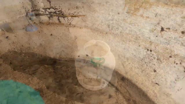 Гнездо для кур из старой бочки своими руками быстро и очень дешево! ????Сделай сам!!! смотреть онлайн