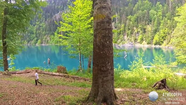 Треккинг на малую Рицу, Абхазия смотреть онлайн