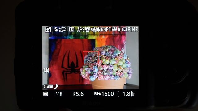 Entry Level DSLR Scene Modes and Effects смотреть онлайн