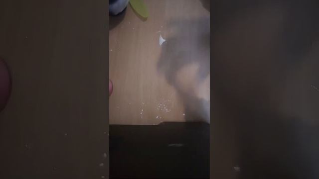 Слаймы!?Лолитка LIVE смотреть онлайн