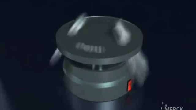 инсеминация