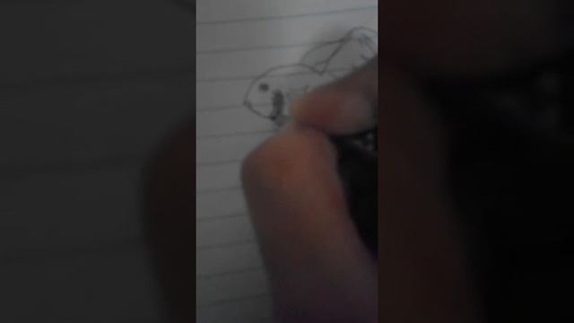 Как отличить пол у петушков смотреть онлайн