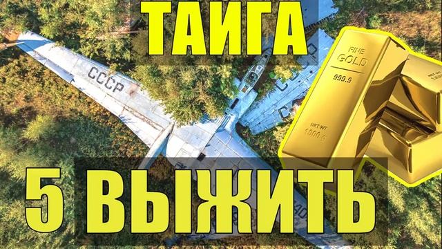 УБЕЖИЩЕ ОДИН в ТАЙГЕ ЗОЛОТО НА БОРТУ В ПОИСКАХ ЕДЫ КРУШЕНИЕ САМОЛЕТА СУДЬБА в ЛЕСУ ВЫЖИВАНИЕ 5 смотреть онлайн