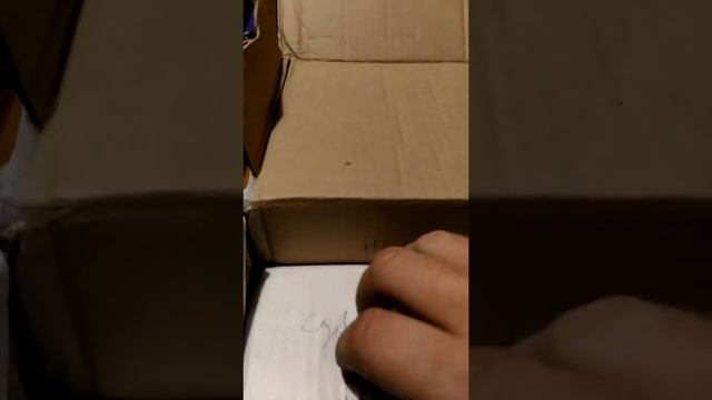 посылка из КБЛБ с выходными тр. для 6с19П SE смотреть онлайн