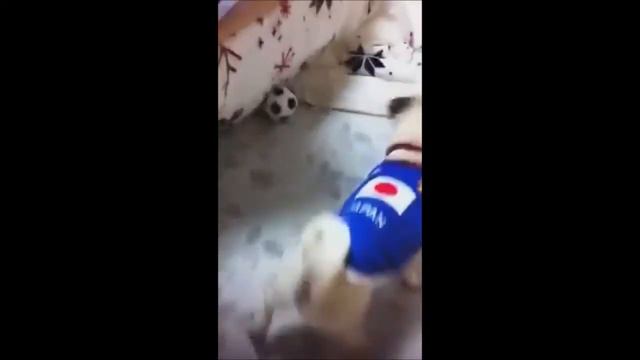 Tetsuko plays soccer! смотреть онлайн