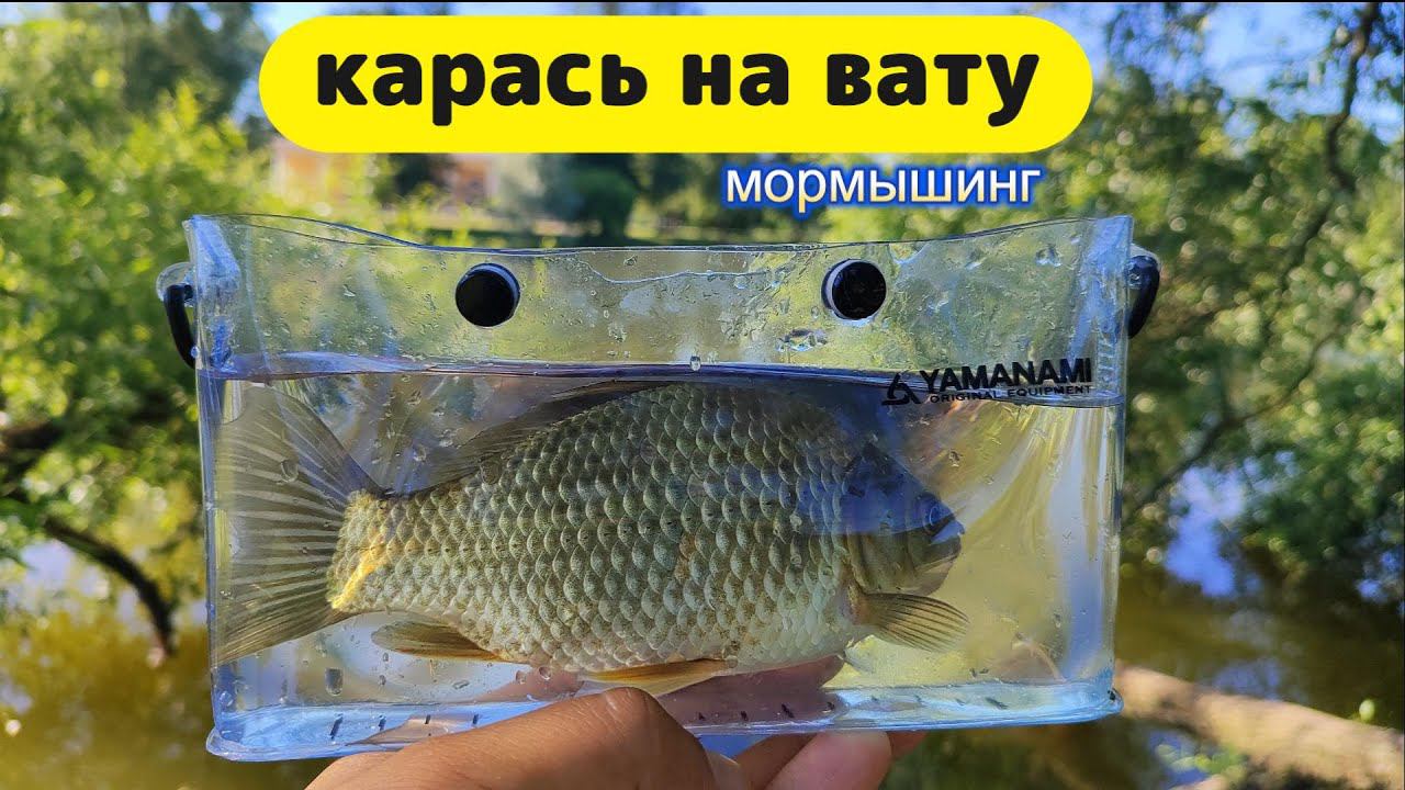 #мормышинг | Карась в корягах на вату | Gamakatsu Ten S48AL-solid | смотреть онлайн