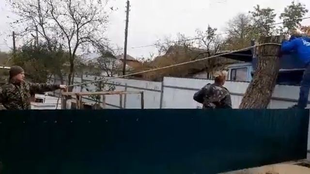 Зрізаємо горіх. Сусіди в шоці. смотреть онлайн