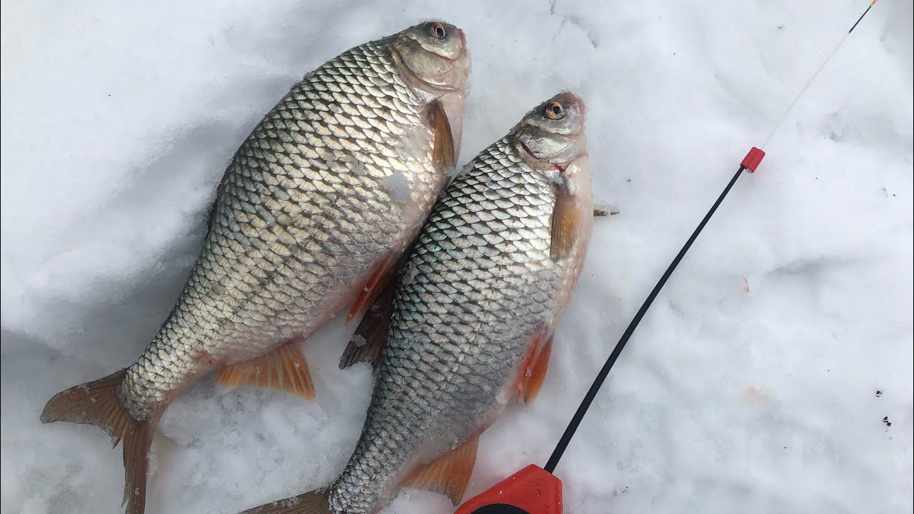 ТРОФЕИ на реке ОКА смотреть онлайн