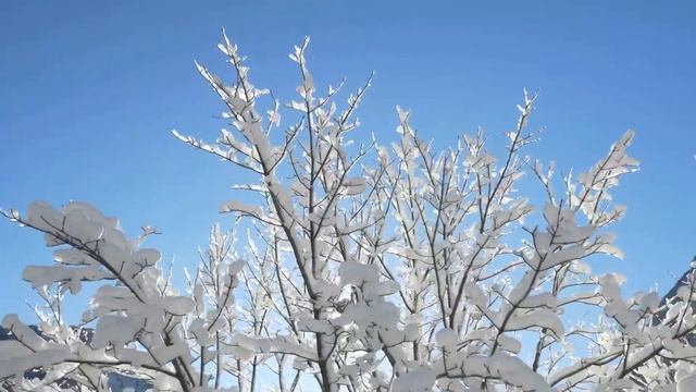 Знаки зодиака для кого 2023 год станет самым успешным. смотреть онлайн