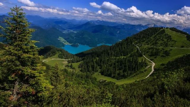 Дунаевский Весёлый ветер смотреть онлайн