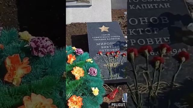 Шонгуй смотреть онлайн