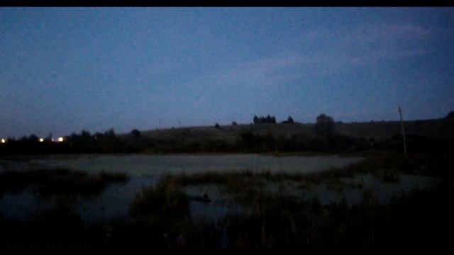 Вечёрка #охота #собака #птица смотреть онлайн