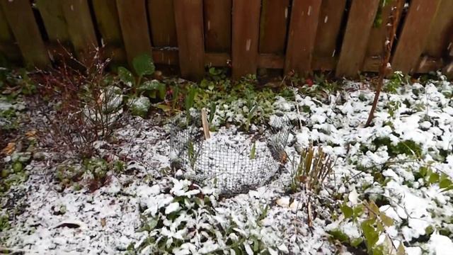 красивый снегопад,46 смотреть онлайн