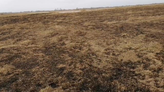 Пасхальный коп с Эквинокс 600 смотреть онлайн