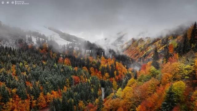 Beautiful Relaxing Music - Stop Overthinking, Stress Relief Music, Sleep Music, Calming Music