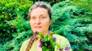 Черноголовка Обыкновенная и её целебные особенности / Self-Heal/ Prunella vulgaris L.