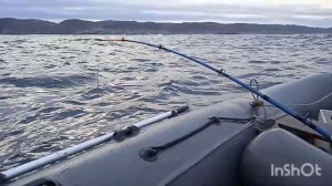 ЖЕСТЬ, А НЕ РЫБАЛКА. ТЕРИБЕРКА. В БАРЕНЦЕВО МОРЕ ЗА ТРЕСКОЙ.TIN, NOT FISHING. BARENTS SEA.