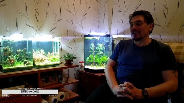 #Территория_комфорта "Любимые" водоросли. смотреть онлайн