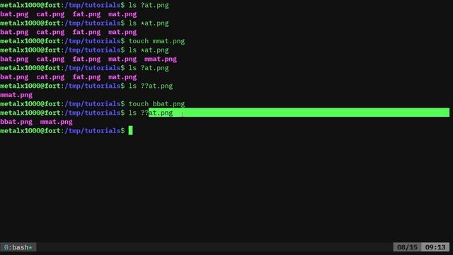 BASH Search Patterns Linux Shell Tutorial смотреть онлайн