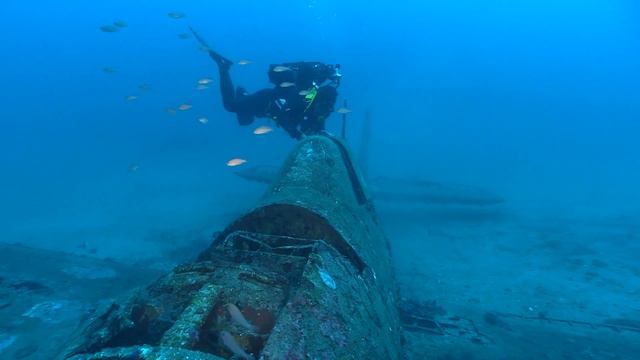 L'ÉPAVE DU HELLCAT DU LAVANDOU смотреть онлайн