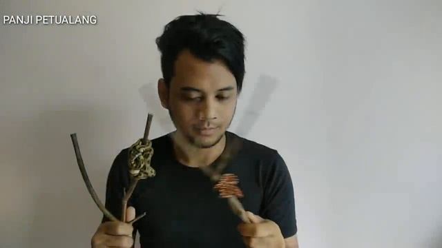 SANCA HIJAU & SANCA KARPET PAPUA смотреть онлайн