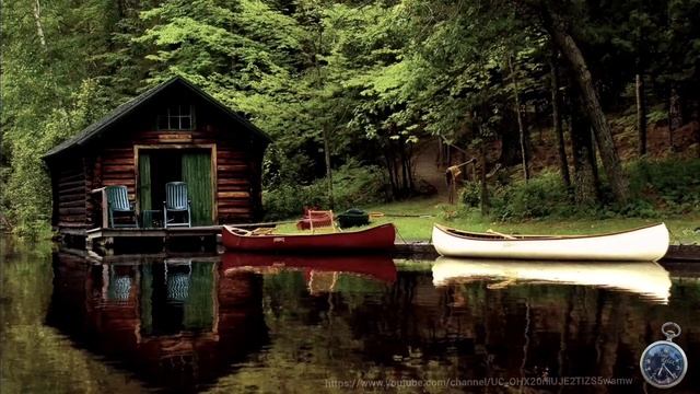 Пение птиц и плеск воды расслабят и отвлекут от суеты города /Birdsong/Sounds of nature/Relax смотреть онлайн