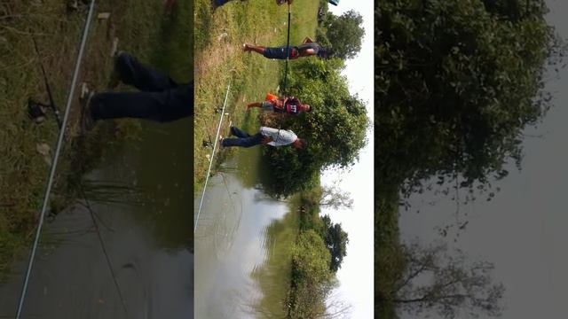 Mancing baramundi sungai mandar babon 4kg up (IFT) смотреть онлайн