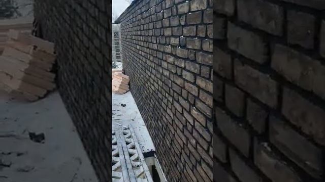 Петровский Штандарт Коричневый, строящийся объект