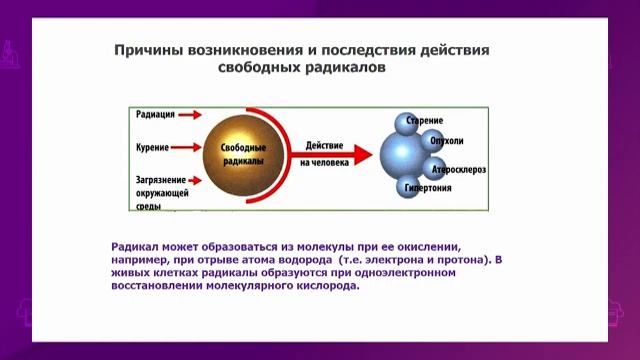 Химия. 11 класс. Понятие о свободных радикалов и их значении в жизни живых организмов /11.09.2020/ смотреть онлайн
