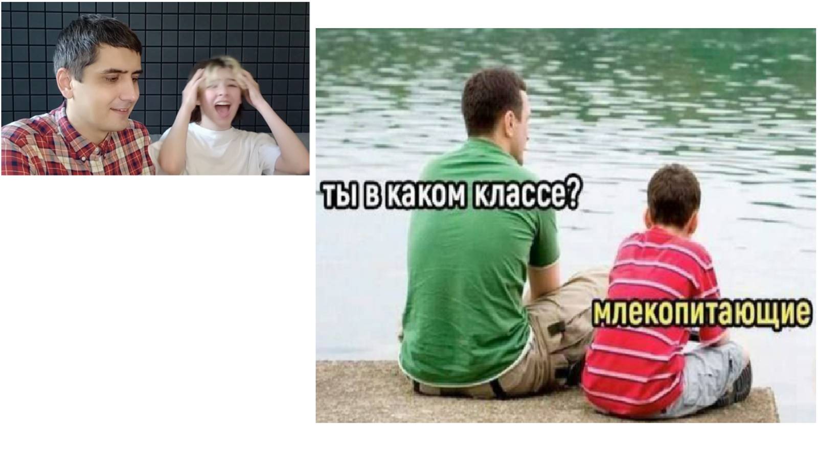 Битва мемов. Макс и Алёна #мемы #юмор #приколы #максмаксимов смотреть онлайн