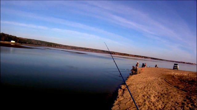 Москит, Окунь, Neon Midori смотреть онлайн