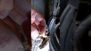 Как вытащить подшипник из редуктора скутера 157qmj 150 куб