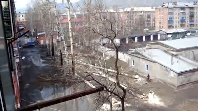Гигантский тополь падает во дворе Междуреченска-1 смотреть онлайн
