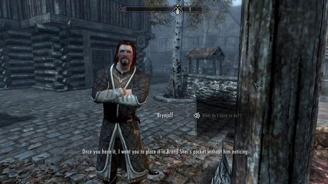 Skyrim (Brynjolf)