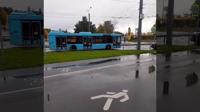 МАЗ-203.947 №38337 смотреть онлайн